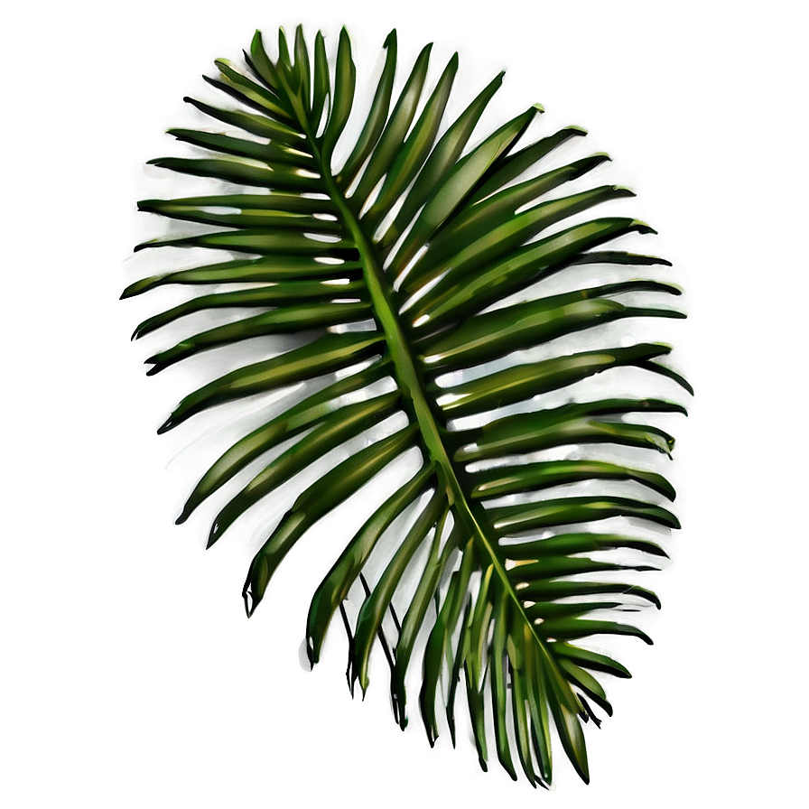 Palm Leaves Silhouette Png Utl82 PNG Image