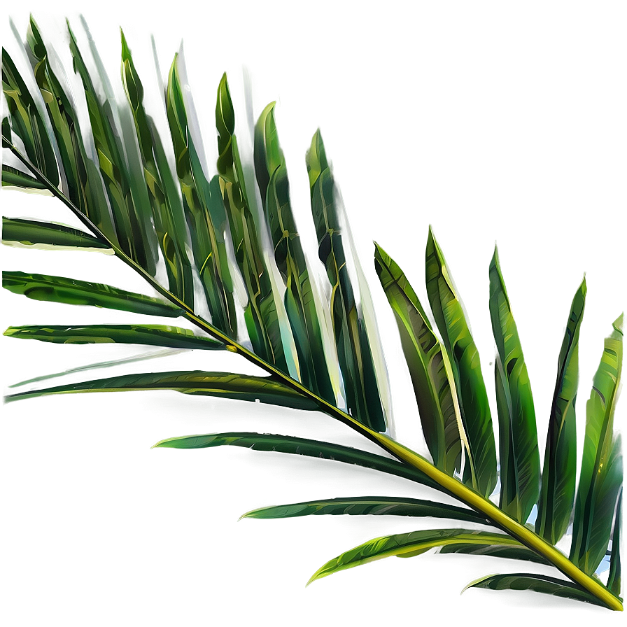 Palm Leaves Wallpaper Png 05252024 PNG Image