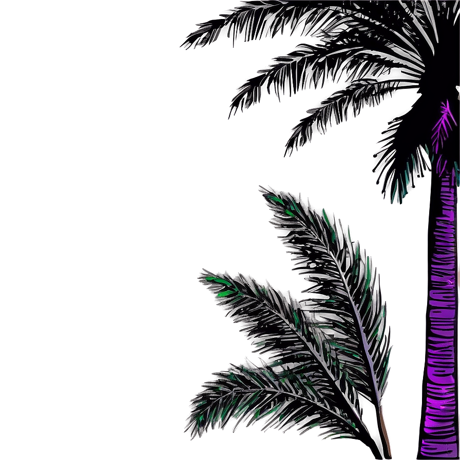 Palm Tree Silhouette Png 04292024 PNG Image