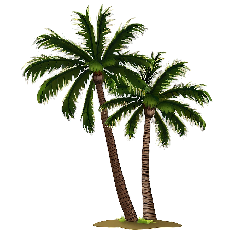 Palm Trees At Night Png 05042024 PNG Image