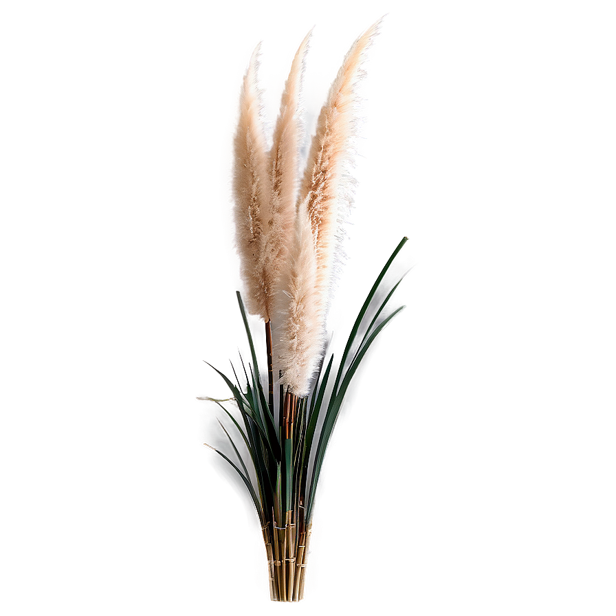 Pampas Grass Arrangement Png 3 PNG Image