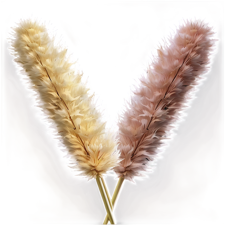 Pampas Grass Bundle Png 87 PNG Image