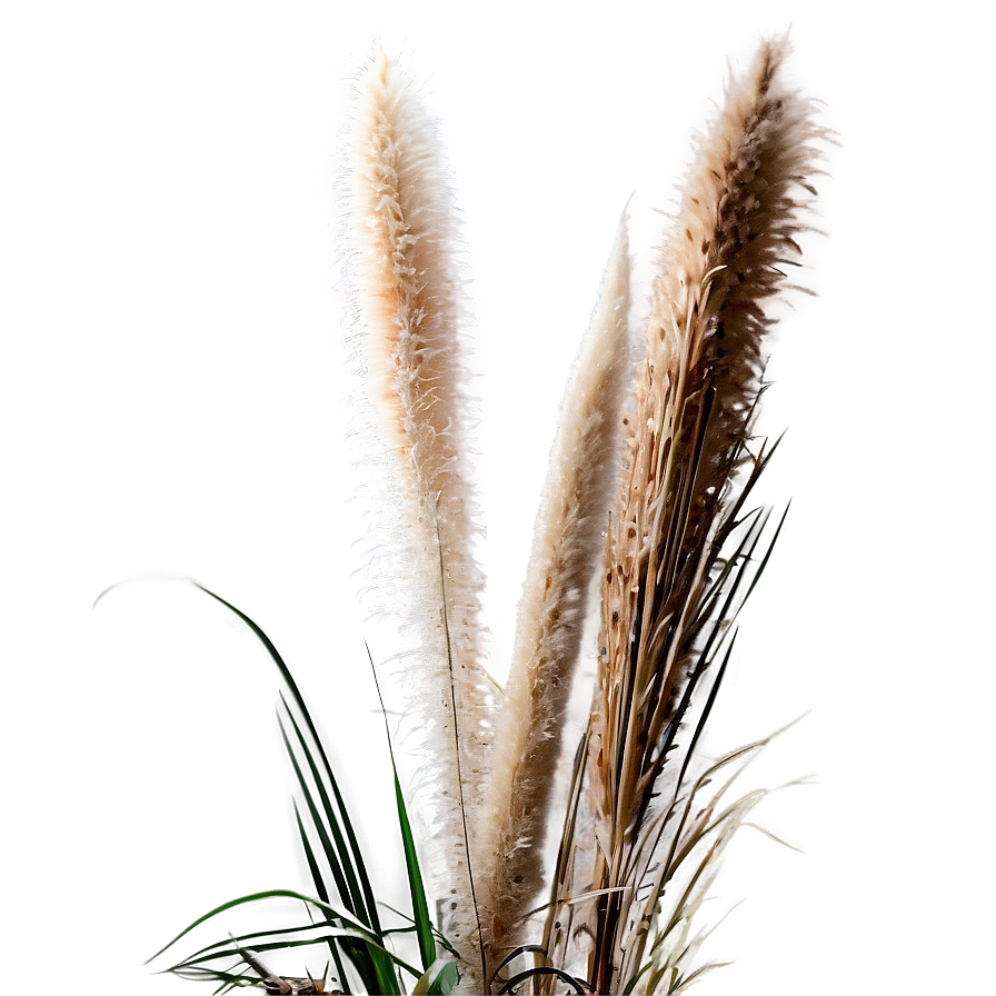 Pampas Grass Landscape Png Eko91 PNG Image