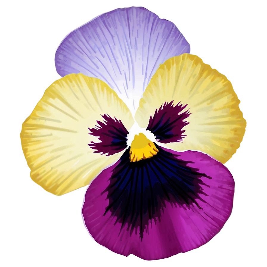 Pansy D PNG Image