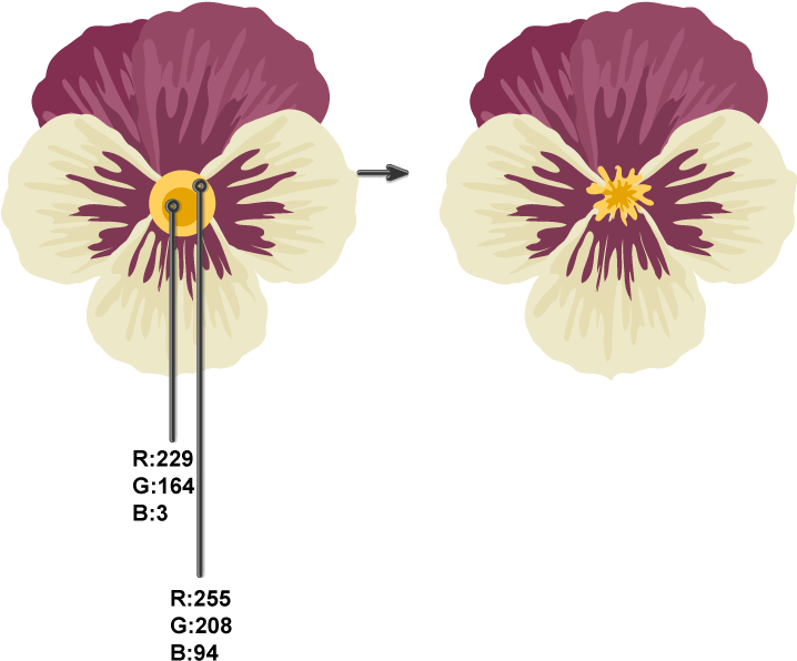 Pansy Flower Color Variation Vector PNG Image