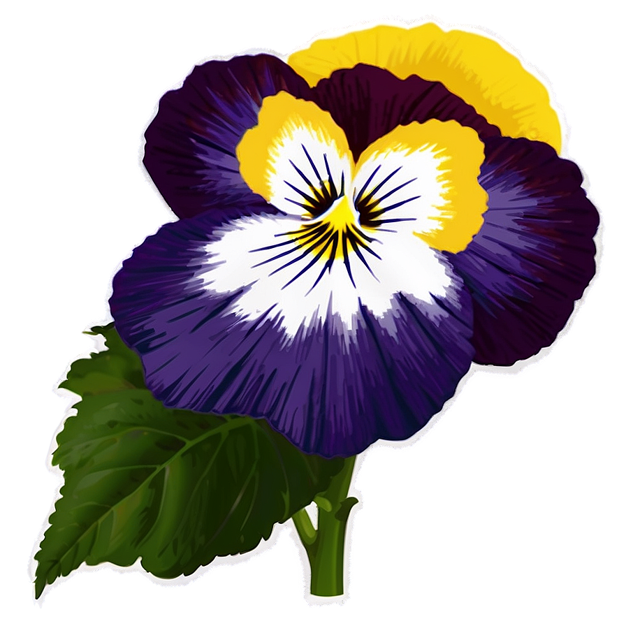 Pansy Pattern Png Qlq PNG Image