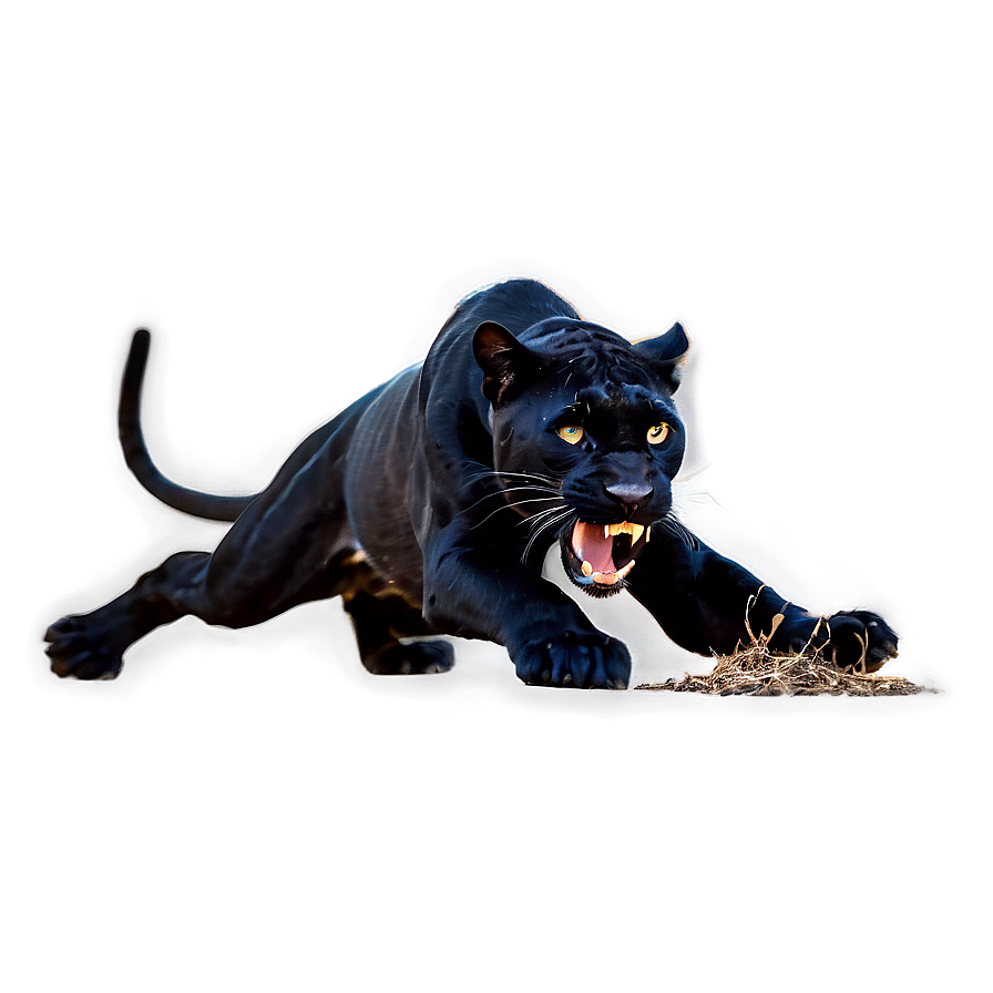 Panther Hunting Png Twd72 PNG Image