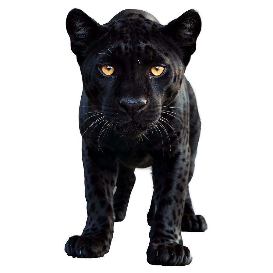 Panther In Shadows Png Frk14 PNG Image