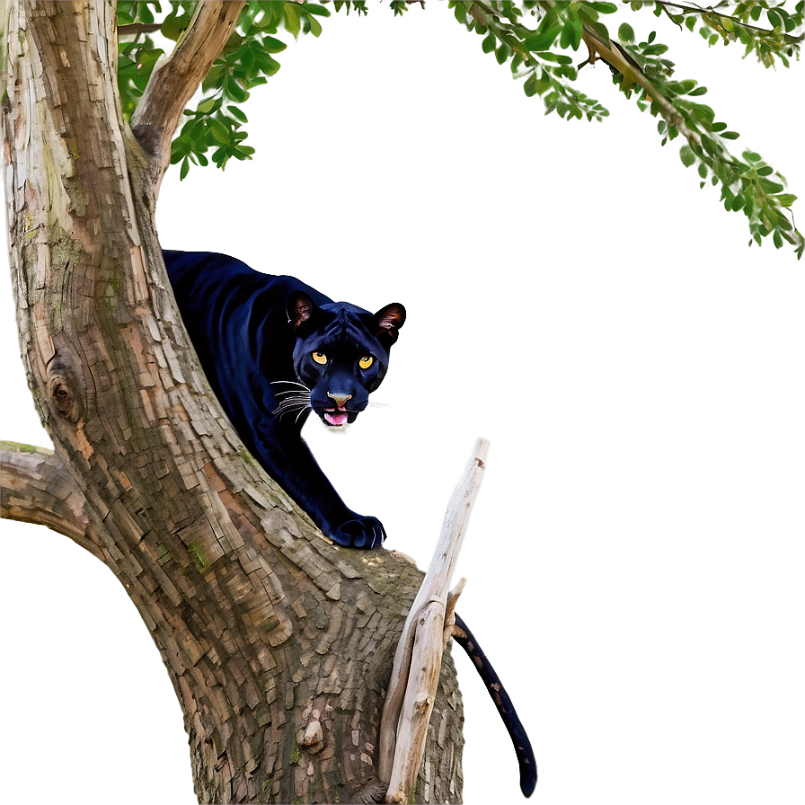 Panther In Tree Png 11 PNG Image