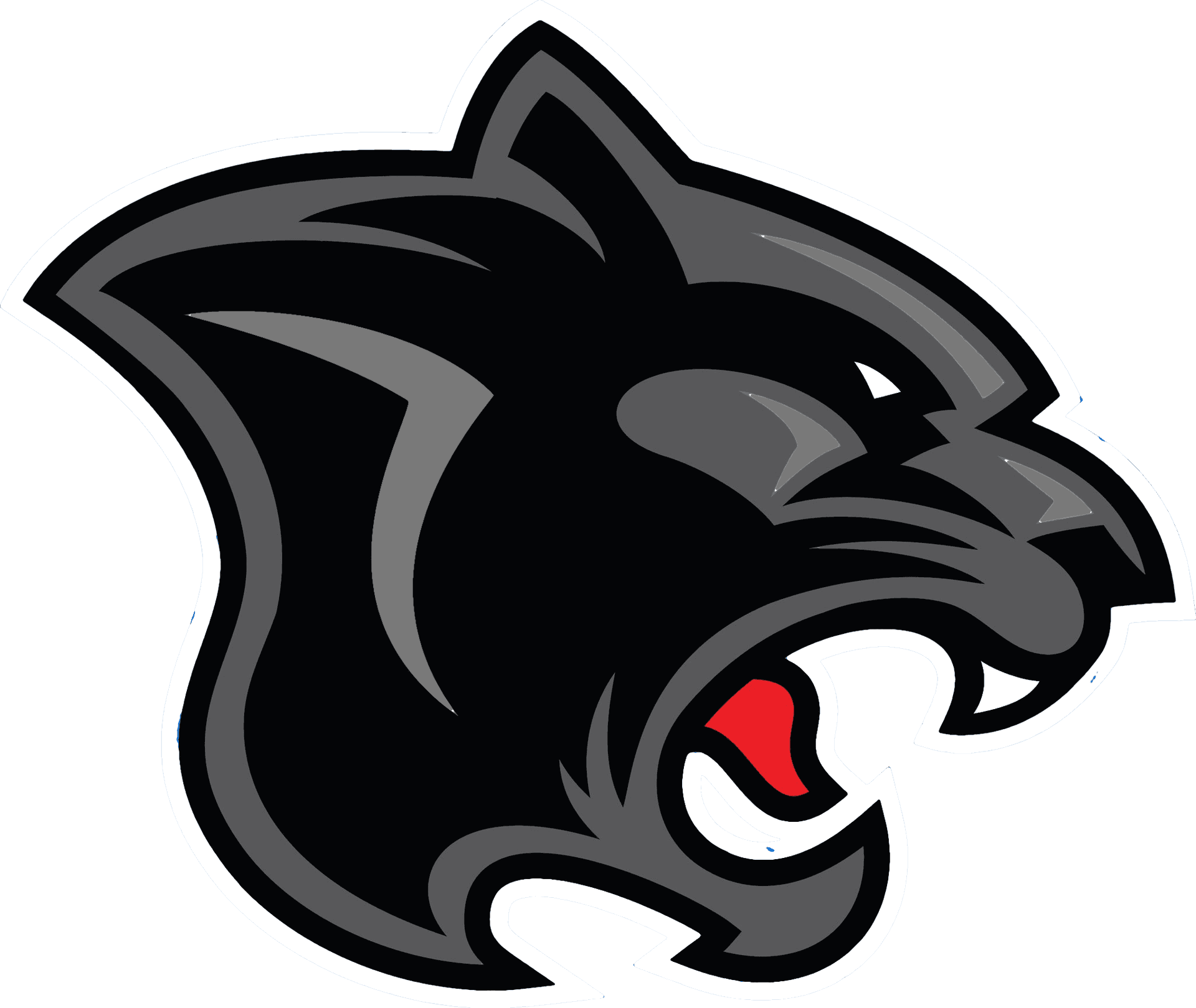 Panthers Team Logo PNG Image