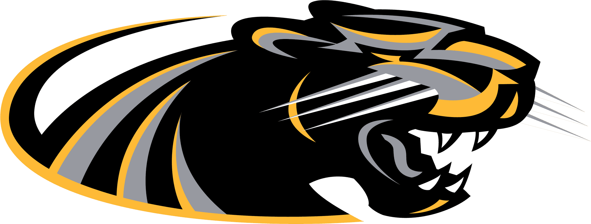 Panthers Team Logo PNG Image