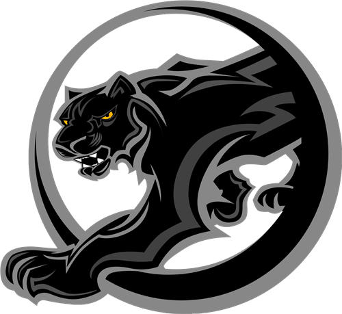 Panthers Team Logo PNG Image