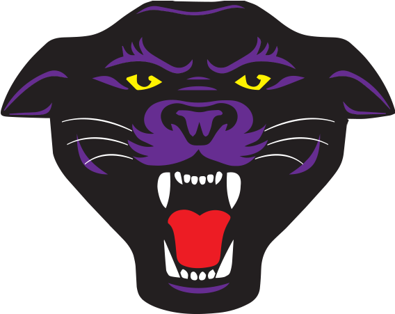 Panthers Team Logo PNG Image