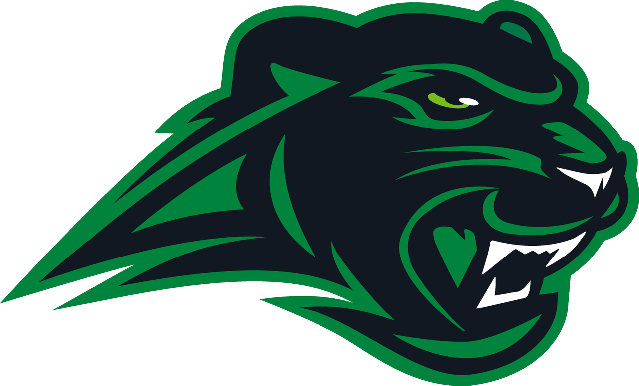 Panthers Team Logo PNG Image