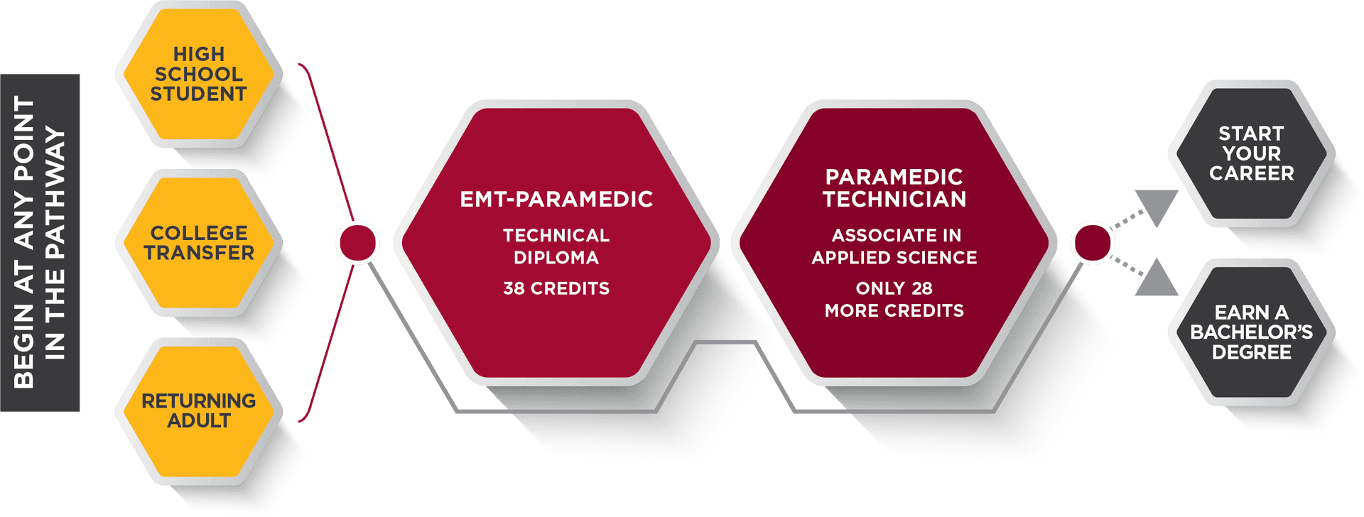 Paramedic_ Career_ Pathway_ Flowchart PNG Image