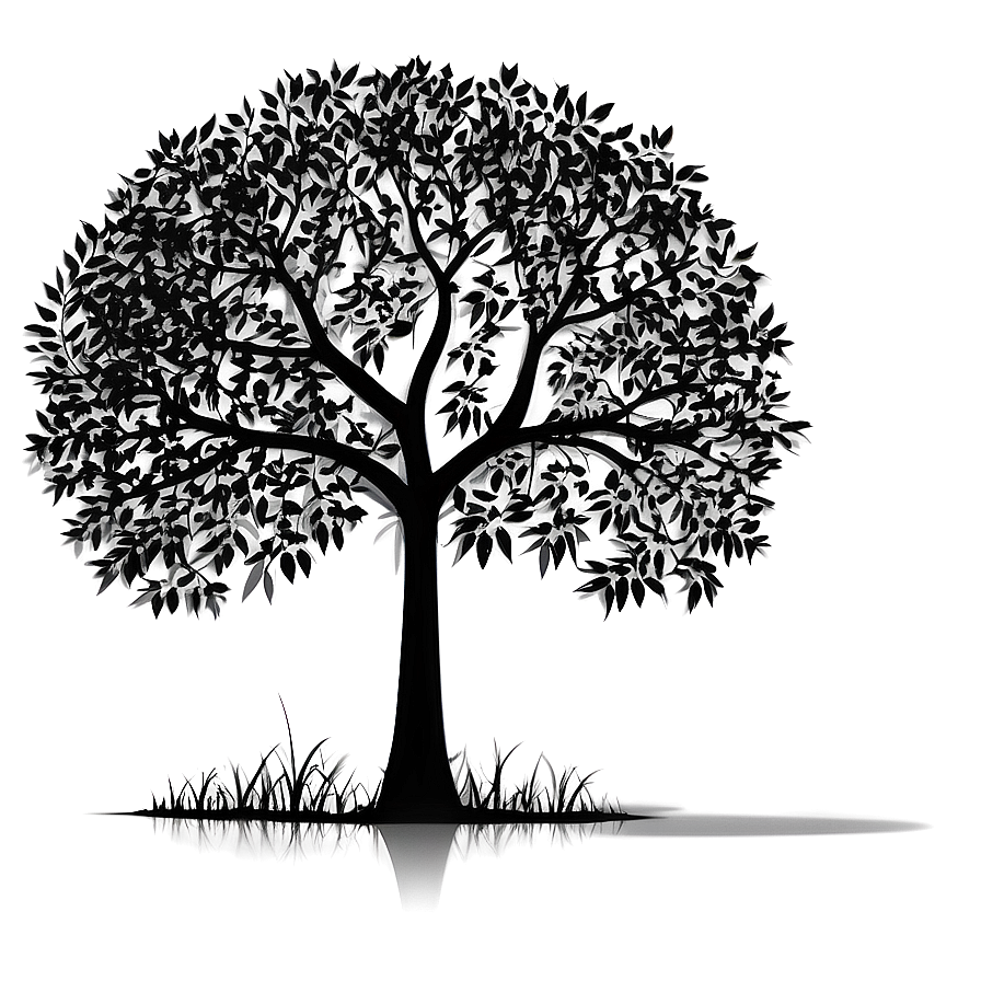 Park Tree Silhouette Png 70 PNG Image