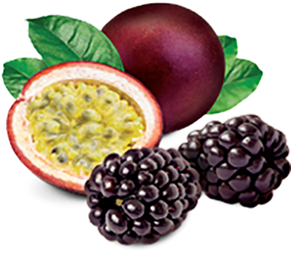 Passion Fruitand Blackberries Illustration PNG Image