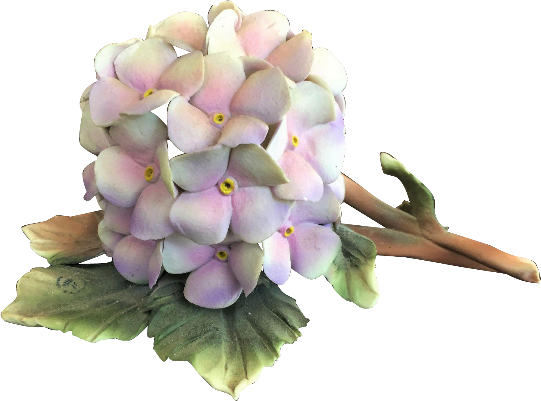 Pastel Hydrangea Bloom PNG Image