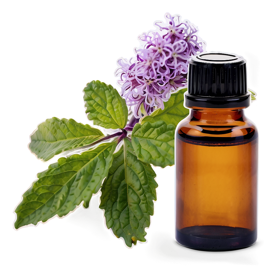 Patchouli Essential Oil Png Jap PNG Image