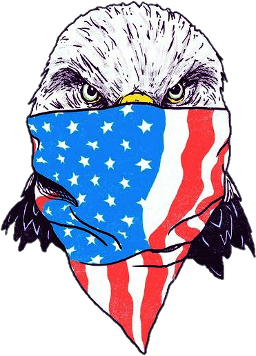 Patriotic Eagle Wearing American Flag Bandana PNG Image