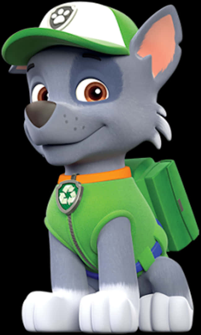 Paw Patrol Rocky Character Portrait PNG Image