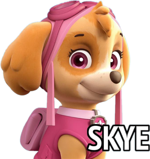 Paw Patrol Skye Portrait PNG Image