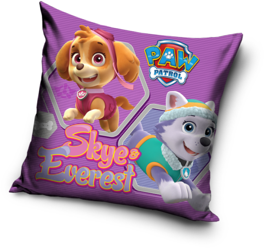 Paw Patrol Skyeand Everest Cushion PNG Image