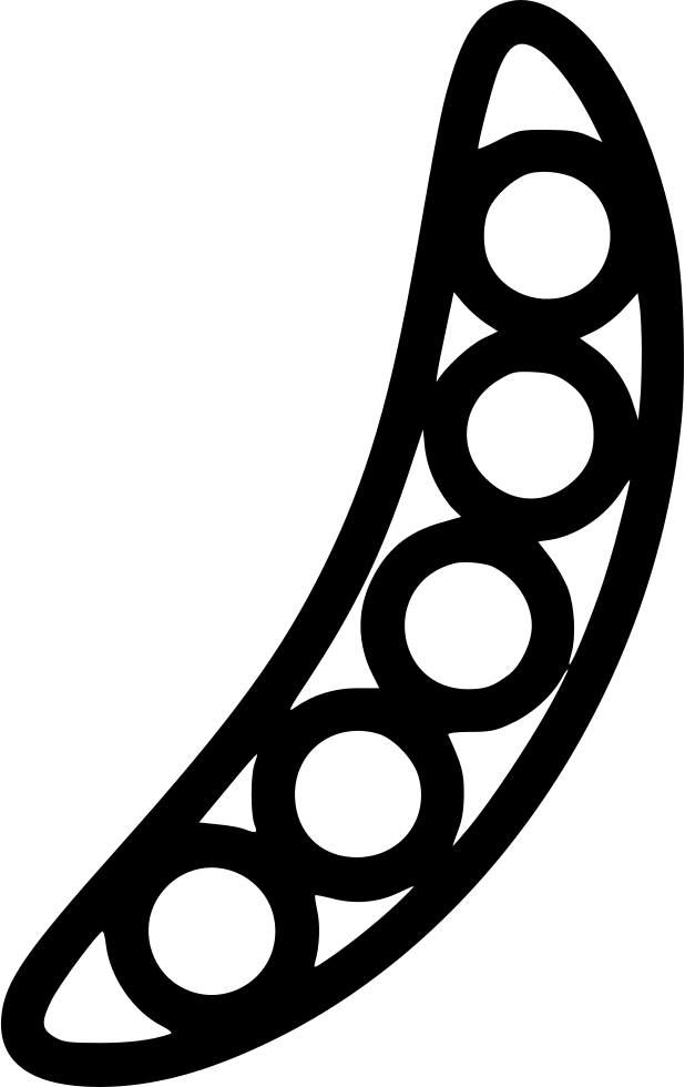 Pea Pod Line Art PNG Image