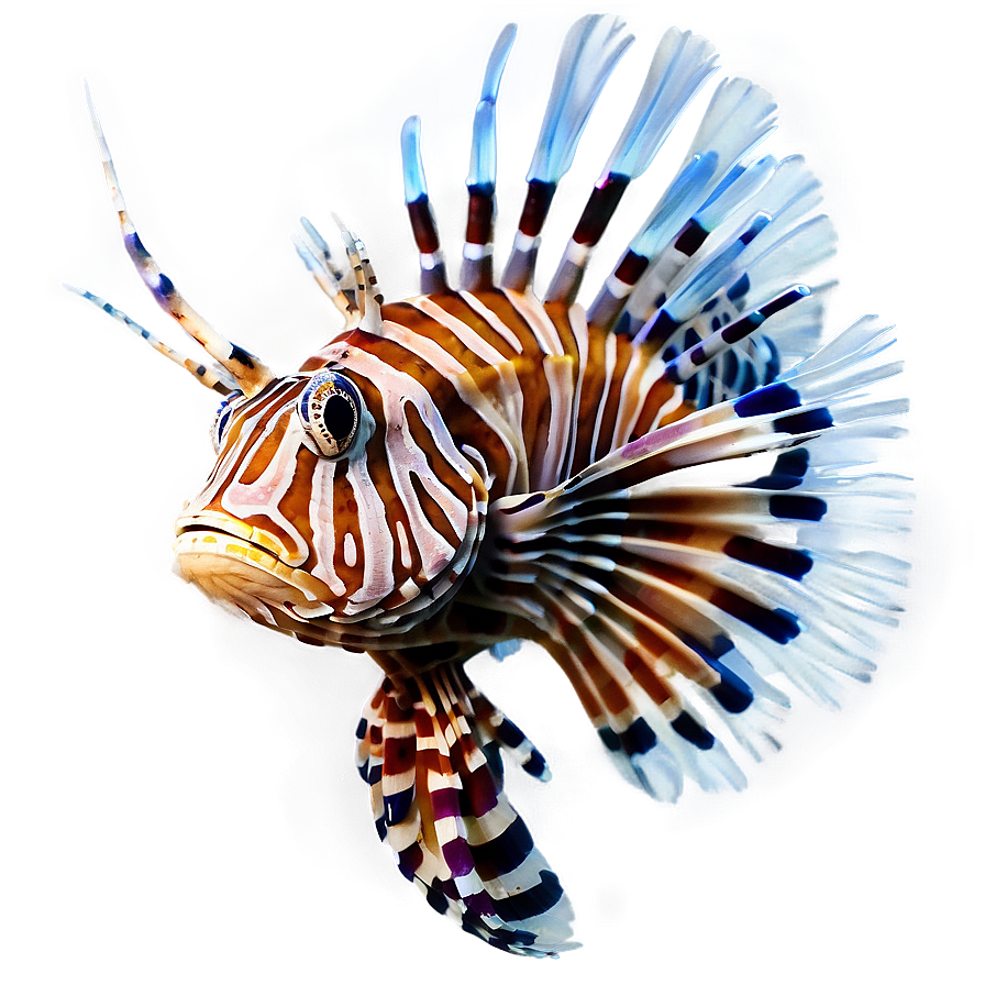 Peaceful Lionfish Png Jkx75 PNG Image