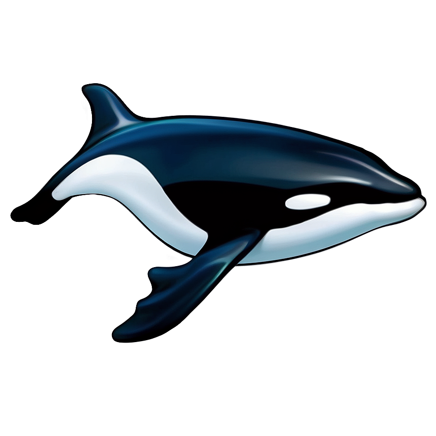 Peaceful Orca Png 28 PNG Image