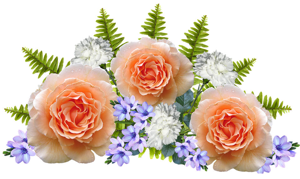 Peach Roses Floral Arrangement PNG Image