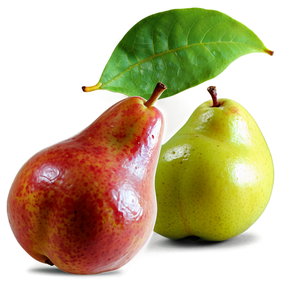 Pear B PNG Image