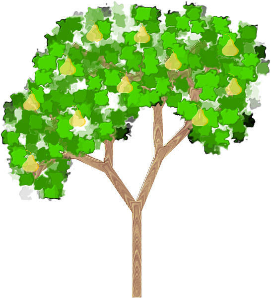 Pear Tree Illustration PNG Image