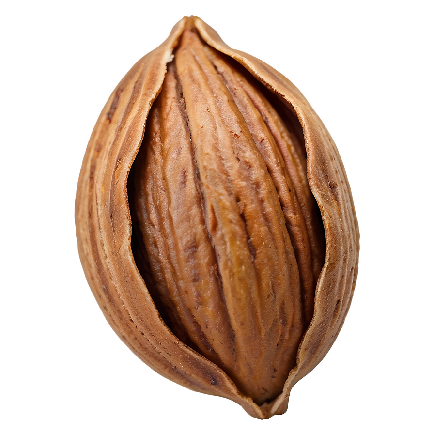 Pecan Nut Png Jyn43 PNG Image