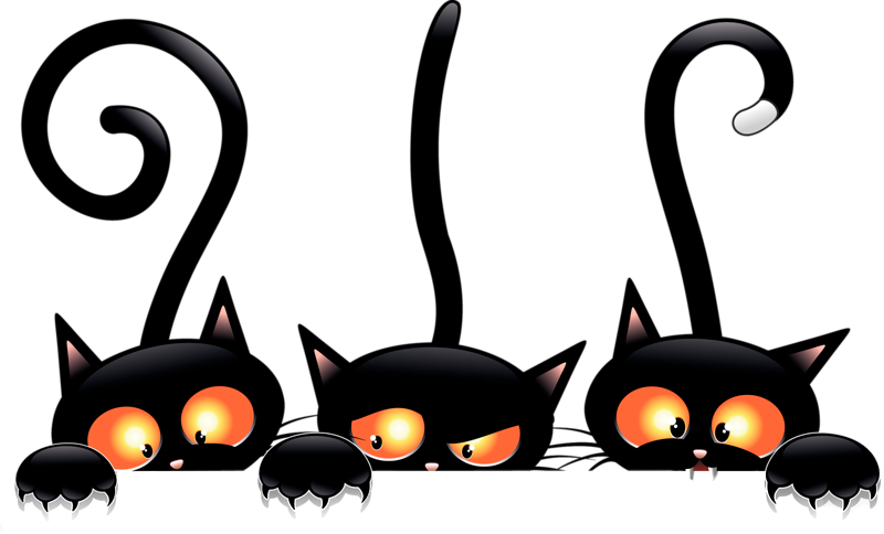 Peekaboo Black Cats Cartoon PNG Image