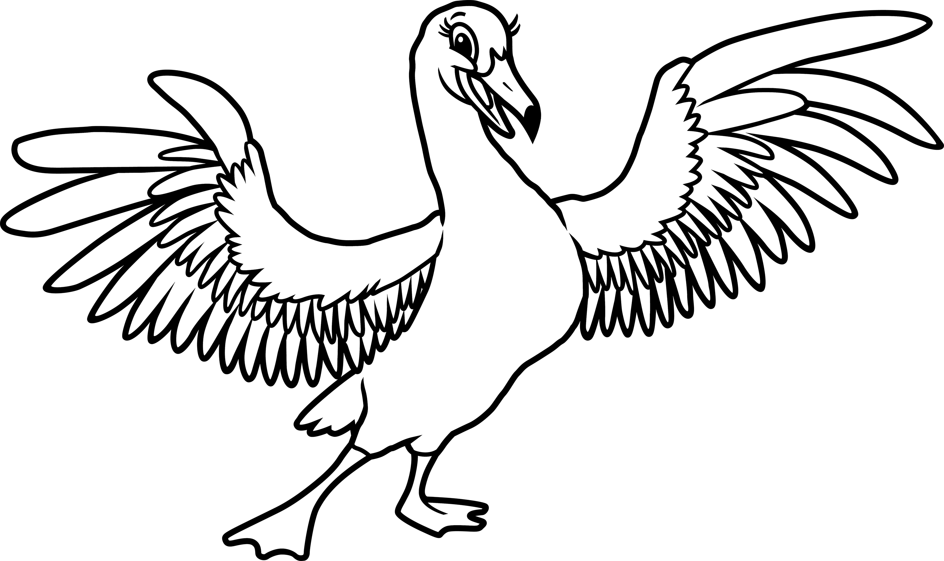 Pelican Spread Wings Illustration PNG Image