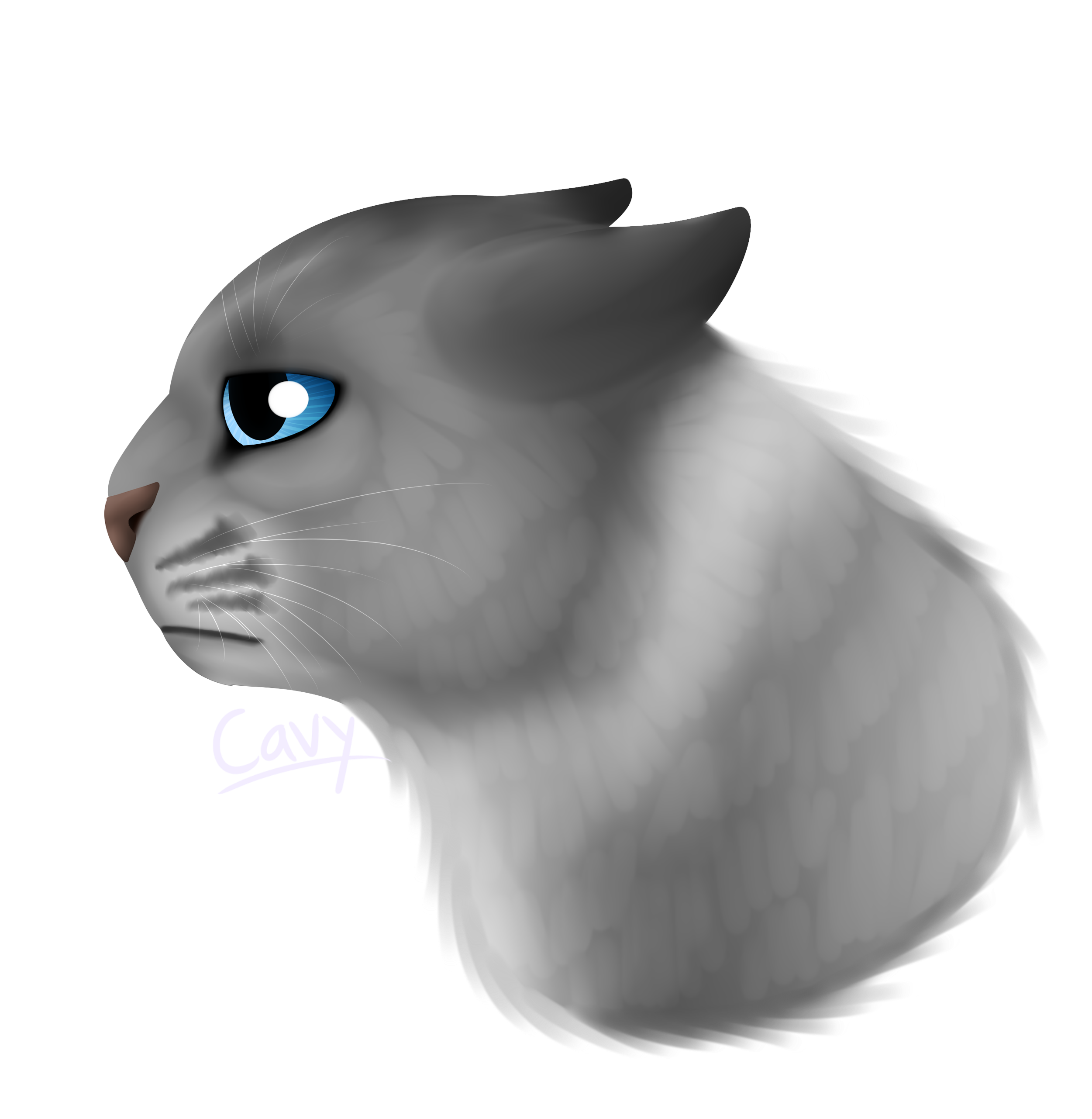 Pensive Blue Eyed Cat Meme PNG Image