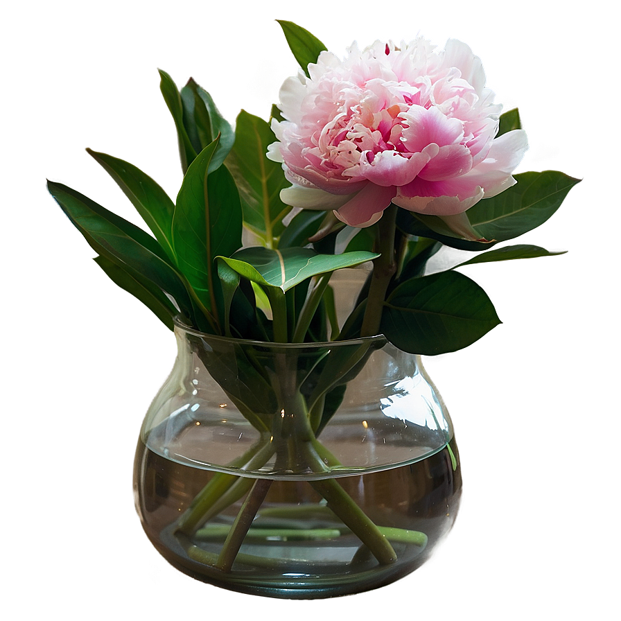 Peonies In Vase Png 06272024 PNG Image