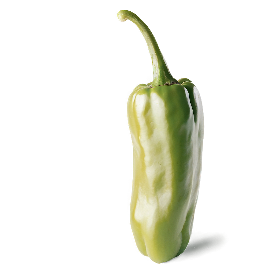 Pepper Sketch Png 05242024 PNG Image