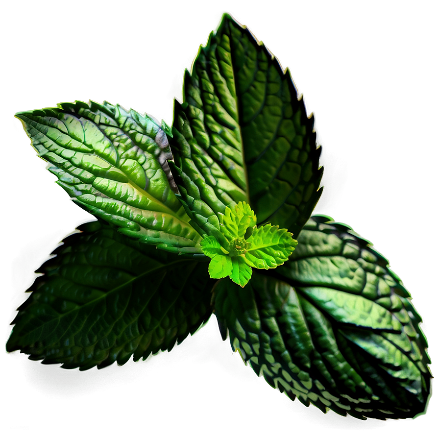 Peppermint C PNG Image