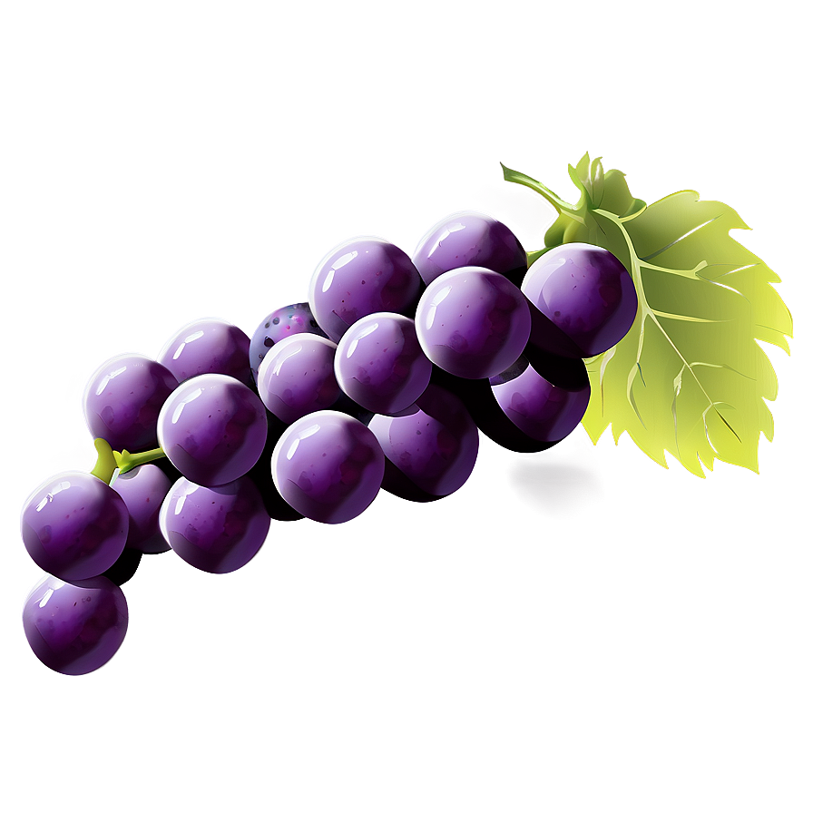 Perfect Grape Illustration Png 69 PNG Image