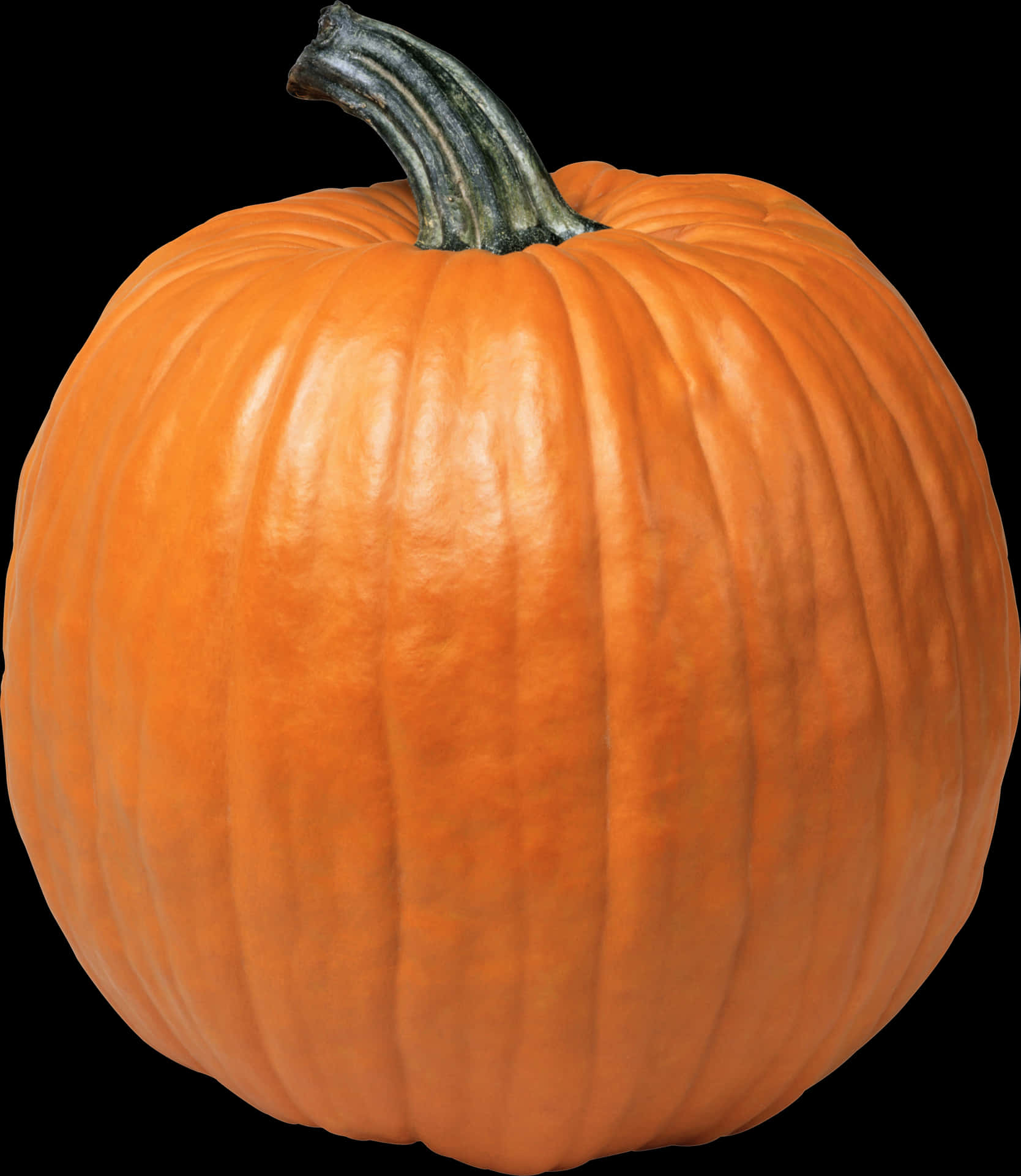 Perfect Orange Pumpkin Black Background PNG Image