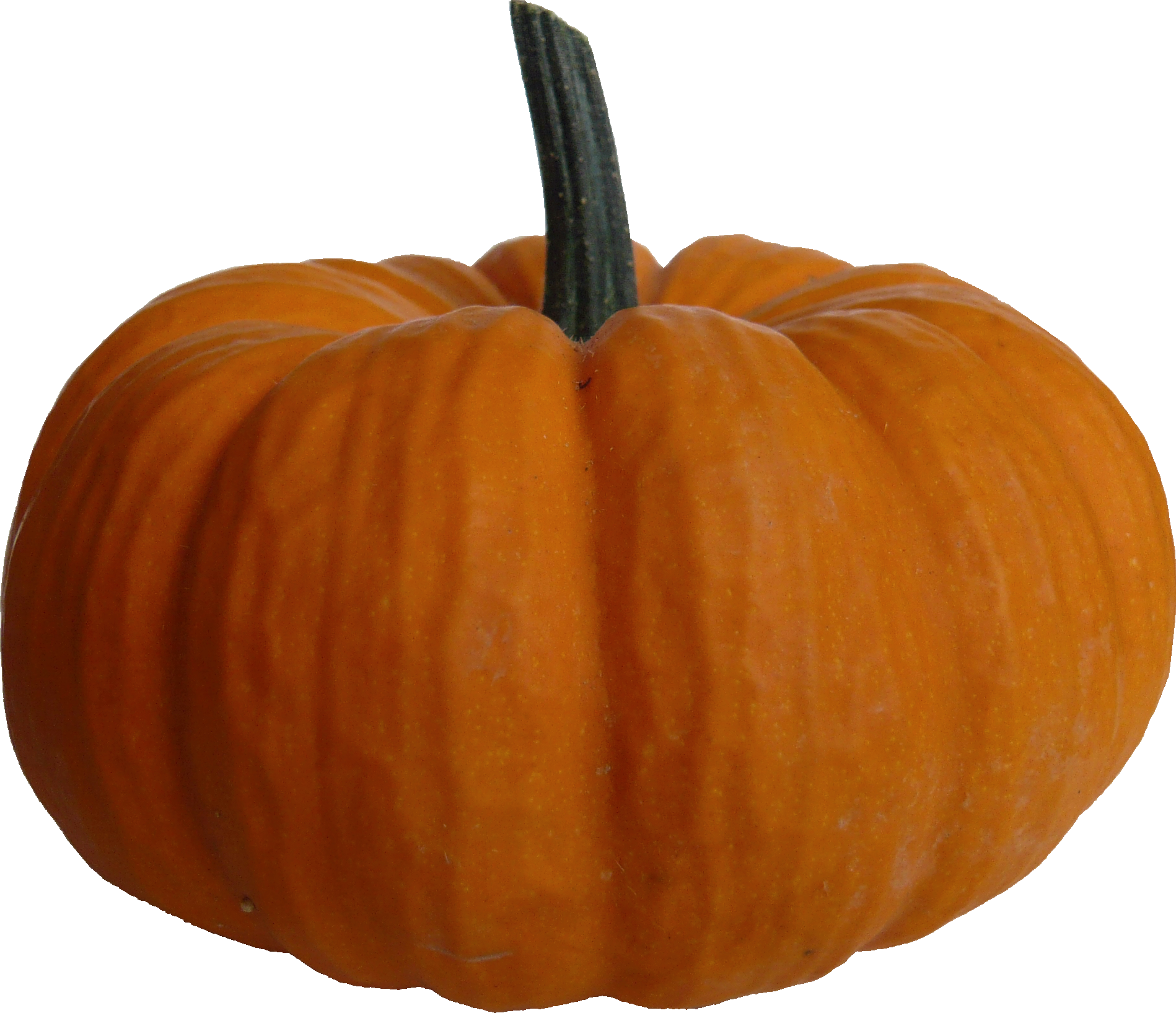 Perfect Orange Pumpkinon Blue Background.png PNG Image