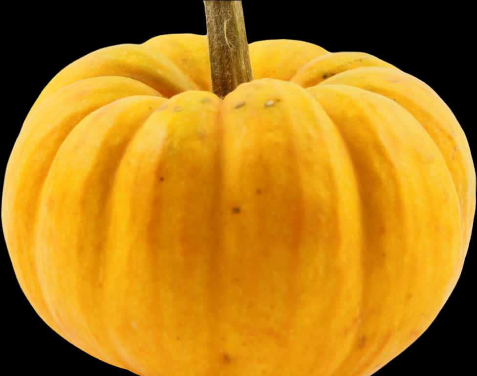 Perfect Pumpkin Black Background PNG Image