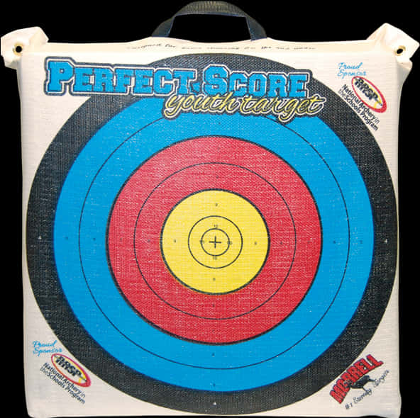 Perfect Score Archery Target PNG Image