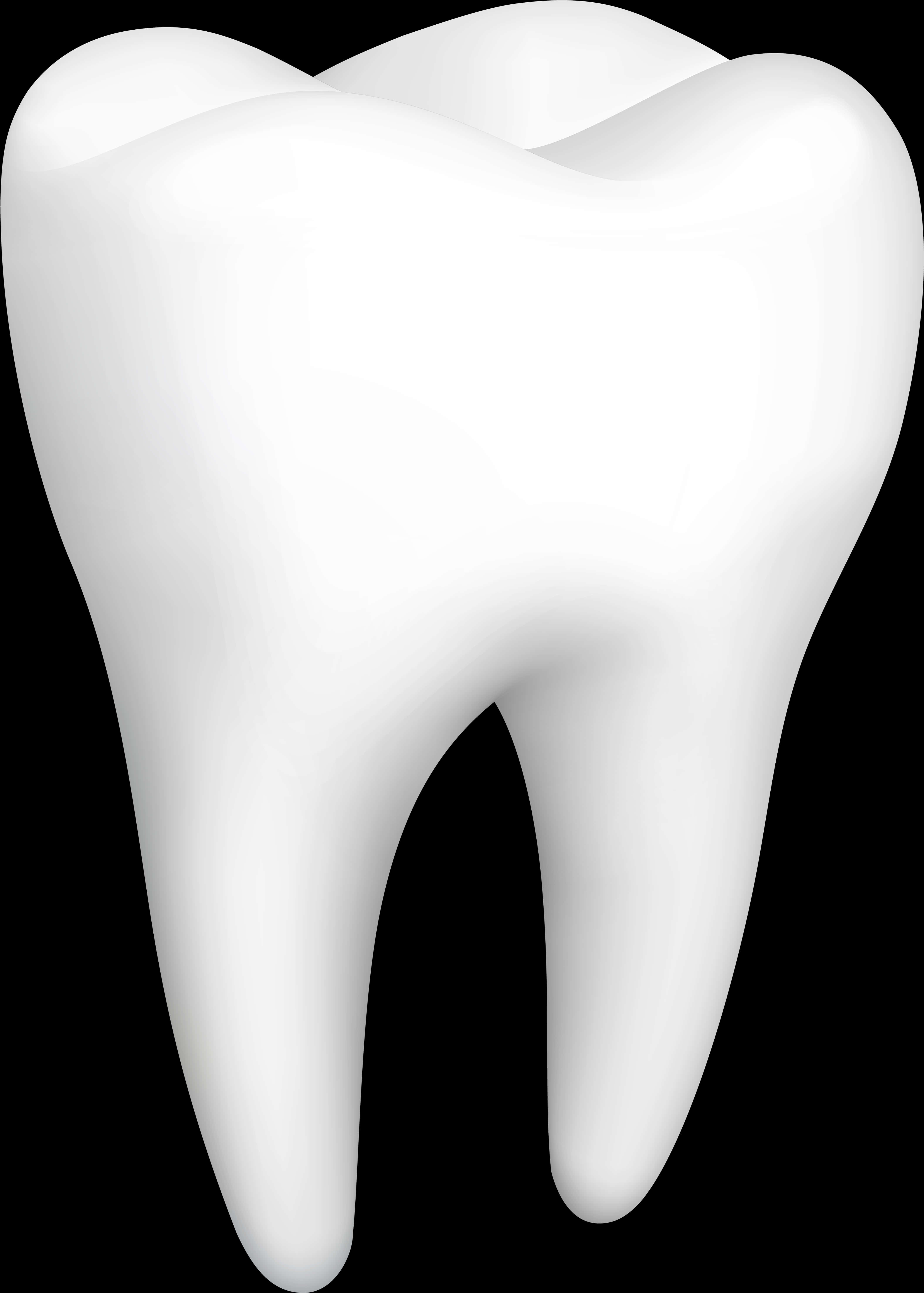 Perfect White Molar Tooth PNG Image