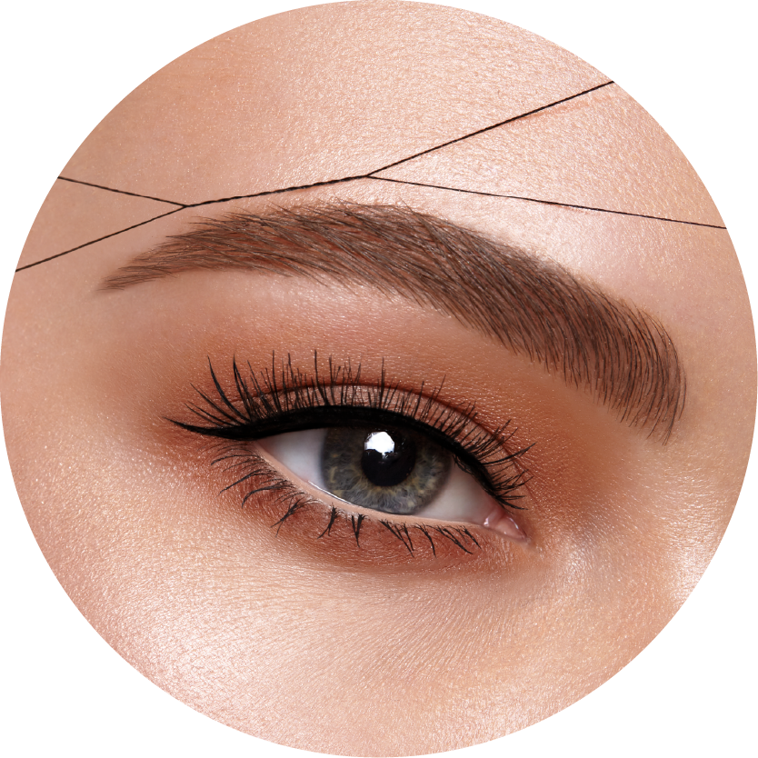 Perfectly Groomed Eyebrowand Eye Makeup PNG Image