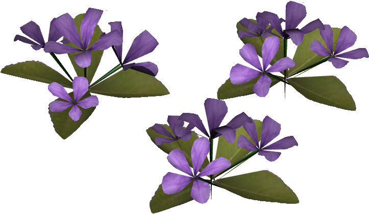 Periwinkle Flowers Transparent Background PNG Image