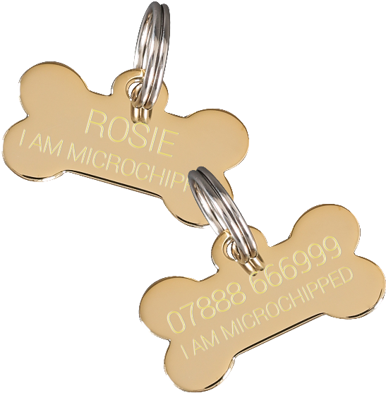 Personalized Dog Bone I D Tags PNG Image