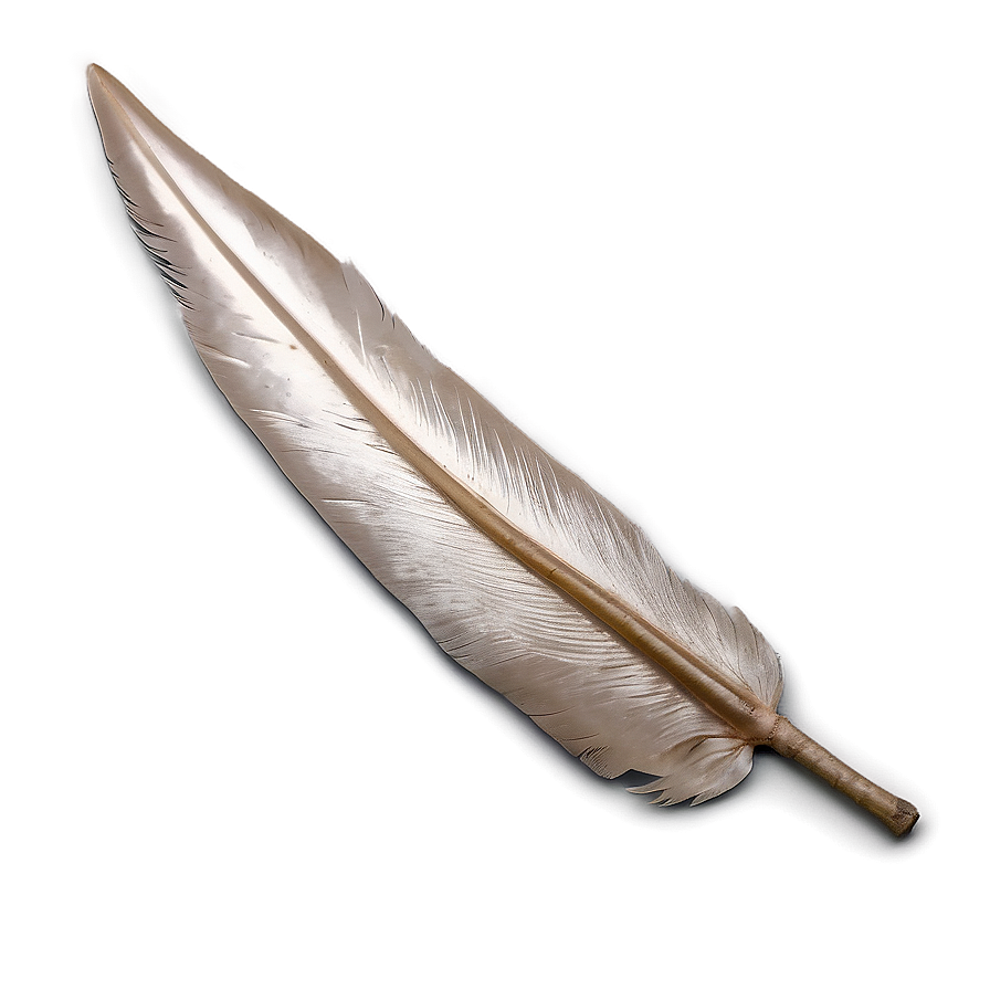 Peso Pluma Representation Png 06132024 PNG Image